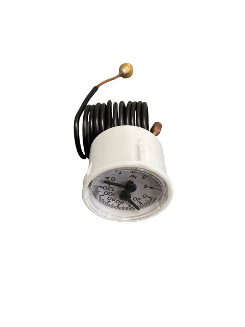 TEMPERATURE PRESSURE GAUGE - Biasi